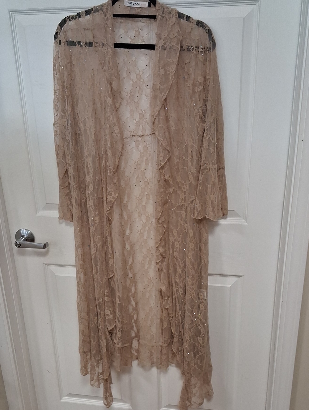 Sheer Sparkle Lace Duster in Beige